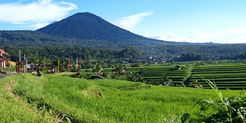 The subak, a cooperative water management system that uses irrigation terraces built around a water temple, is the heart of the Bali Cultural Landscape.