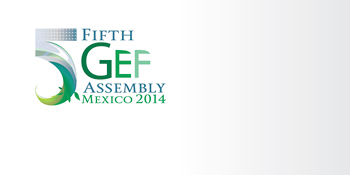 5th gef assembly logo
