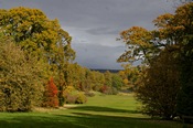 The Arboretum has more than 7,000 trees from temperate regions around the world
