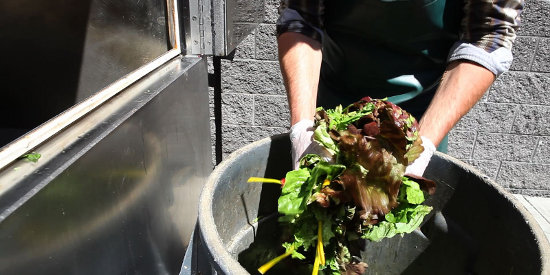 Turning food waste into organic fertilizer.