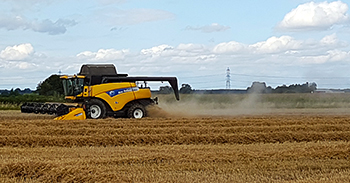 Harvesting wheat in Yorkshire