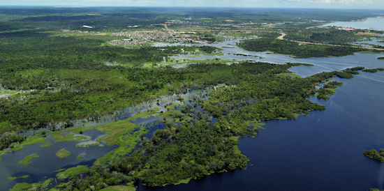 Aerial view of green forests and blue waters