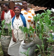 Women from Soweto Forum showing their urban garden, grown in rice sacks