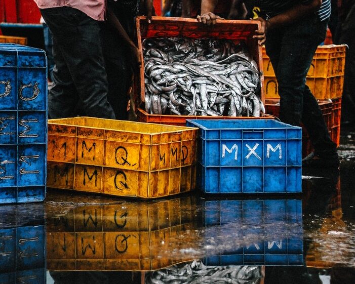 Fishery