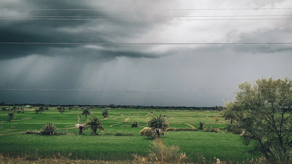 field and stormy sky