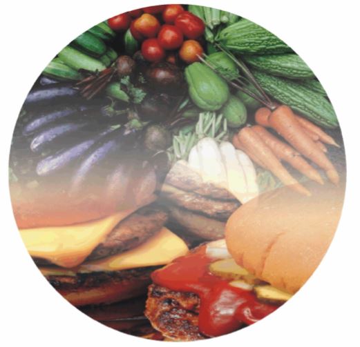 Food circle