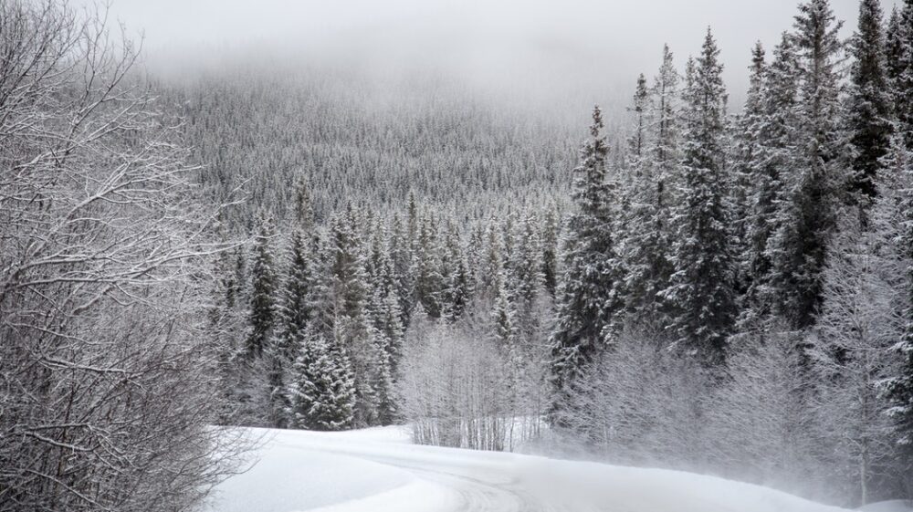 Swedish winter