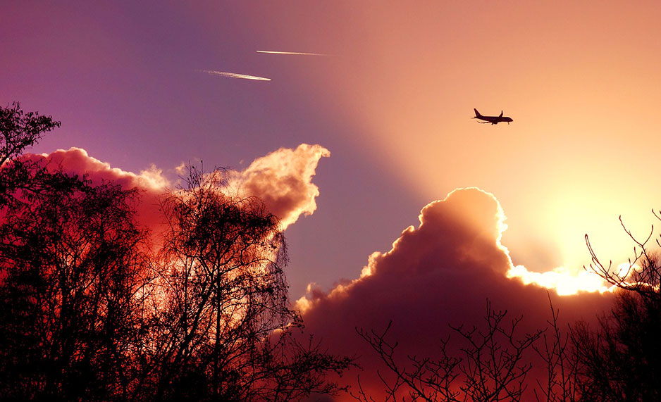 A plane flying over trees, against a pink sunlit sky.