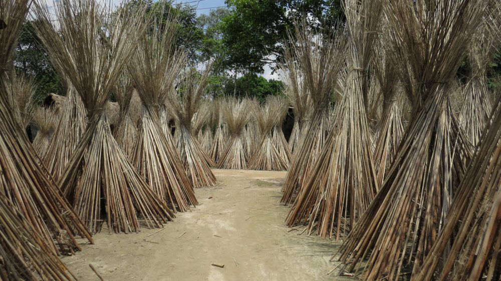 Rural village path