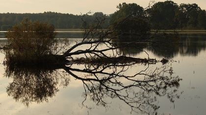 Flooded field