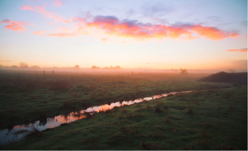 Scenic nature