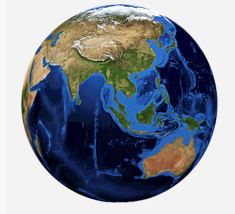 The Globe