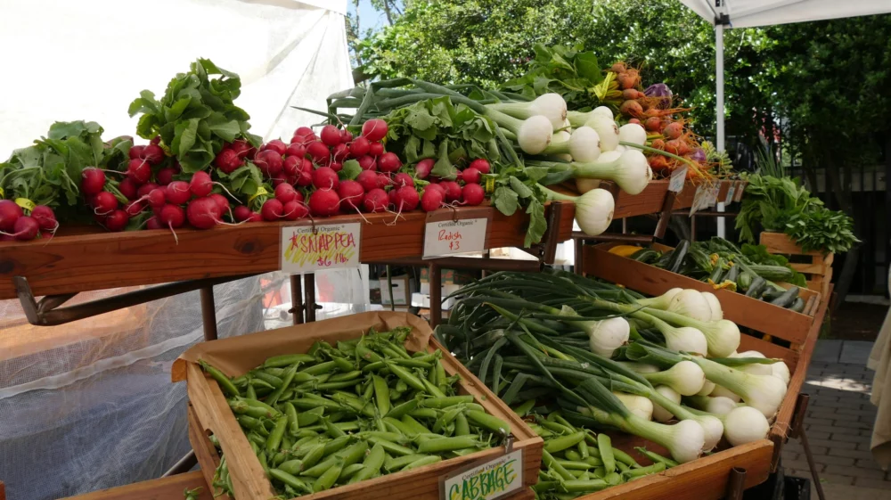 vegetables