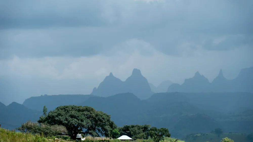 landscape mountains and trees
