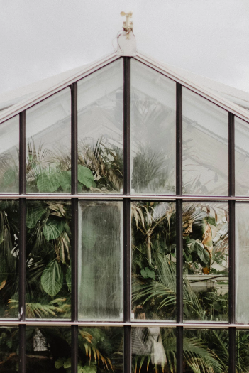 Greenhouse