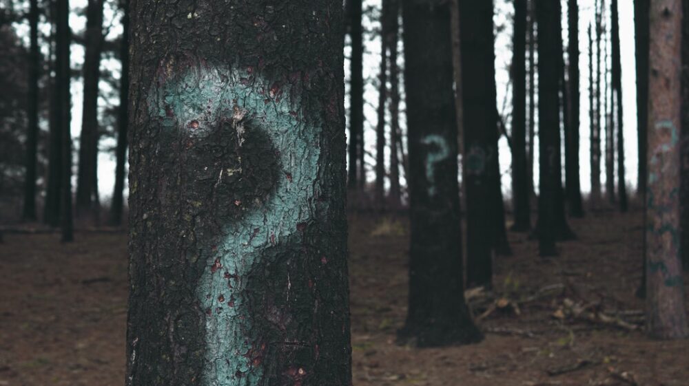 Question marks on tree