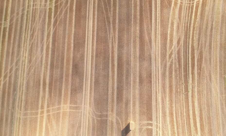 Tracks