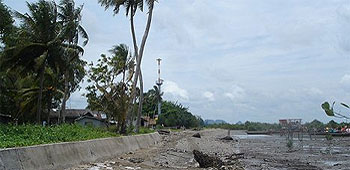Environmental disaster after tsunami