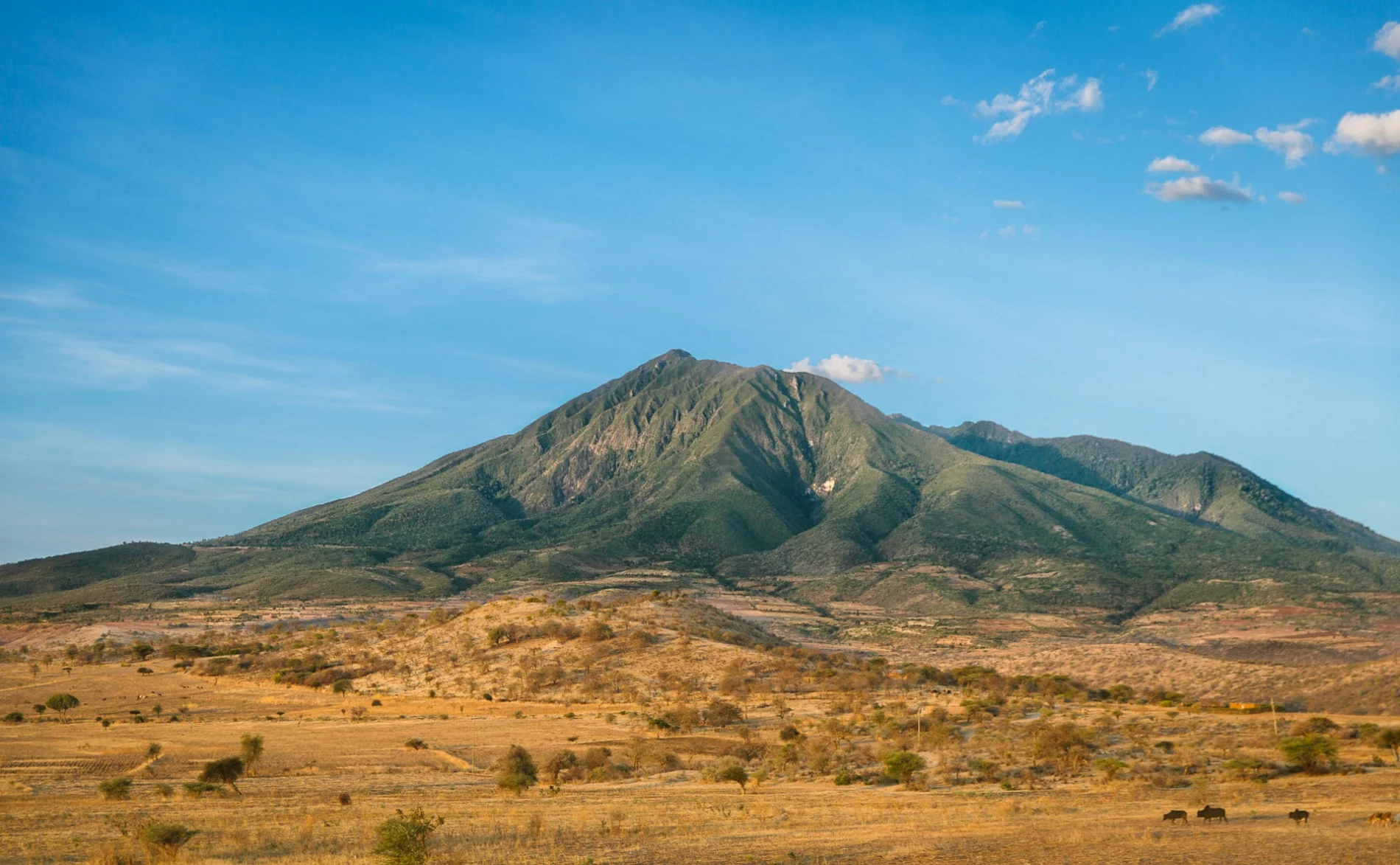 mountain