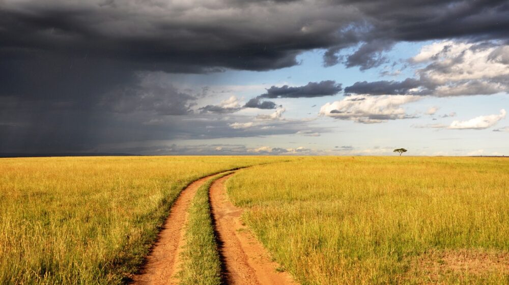 Country side road