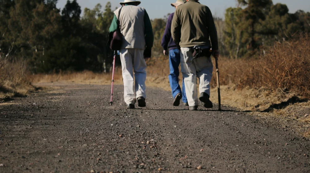 hikers