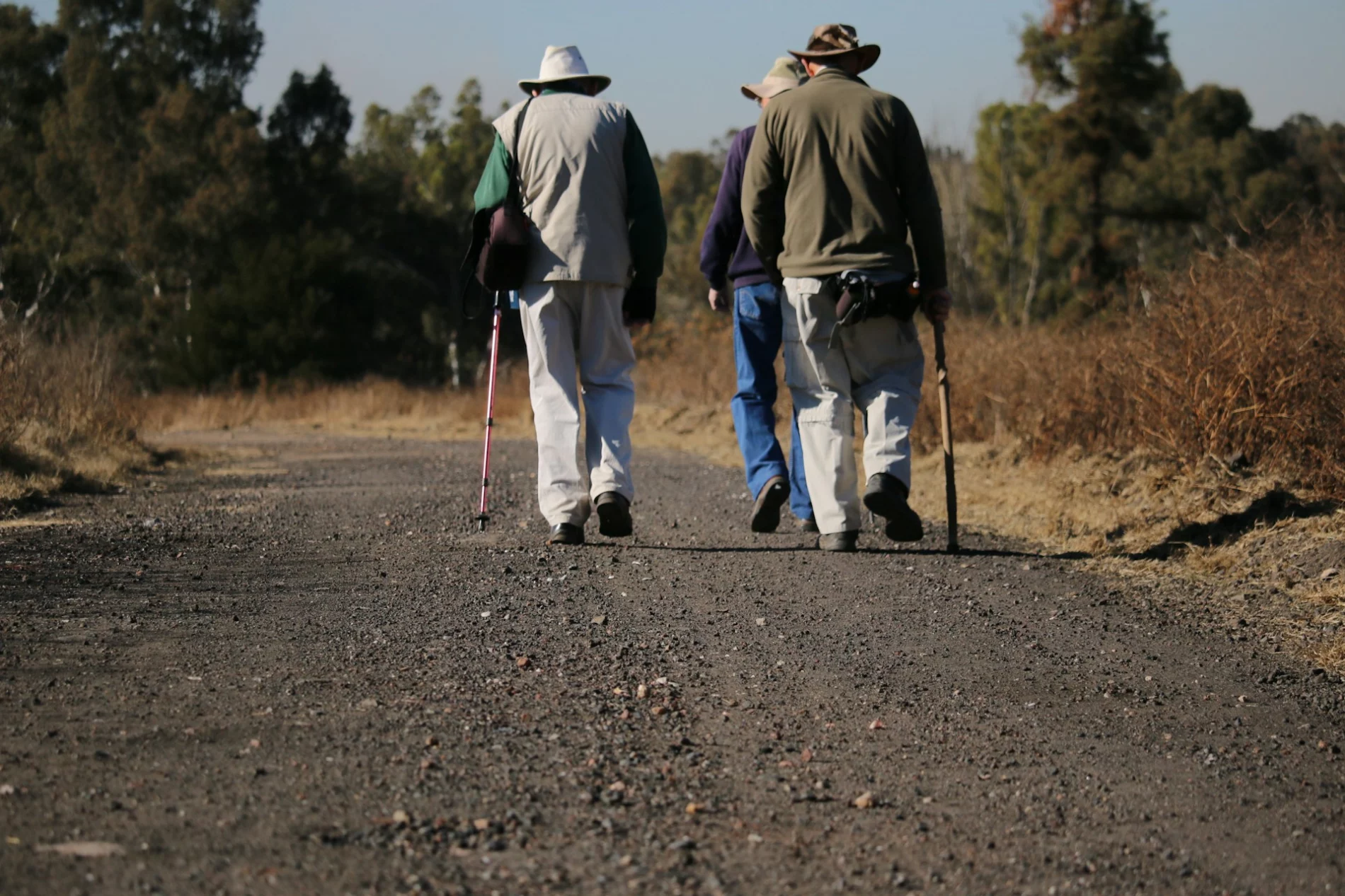 hikers