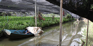 baiteuy klongjinda