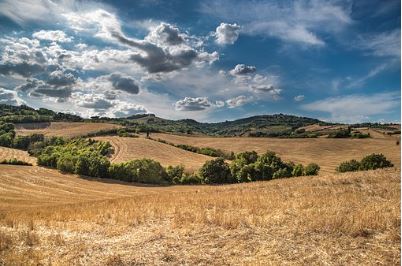 Open fields
