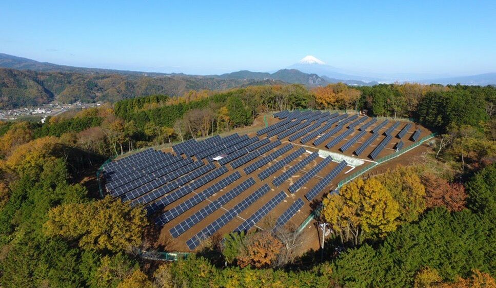 A field of solar panels