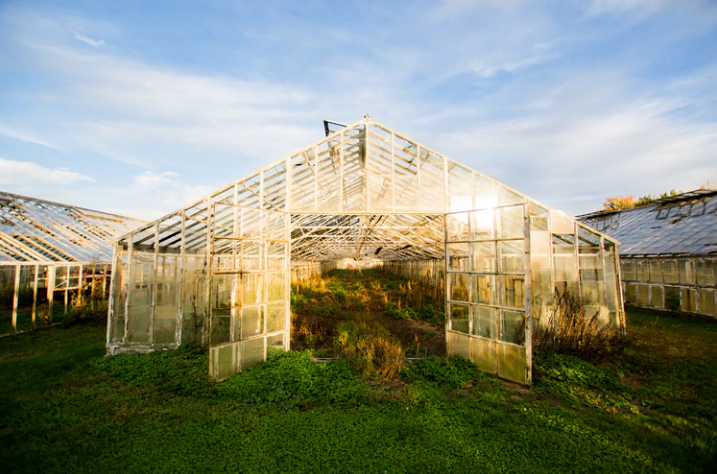 Greenhouse