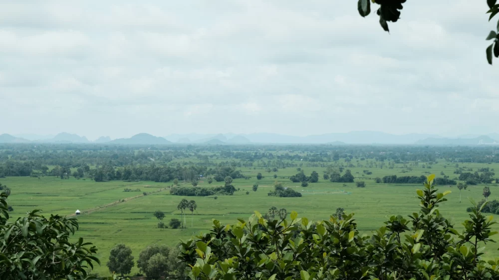 field