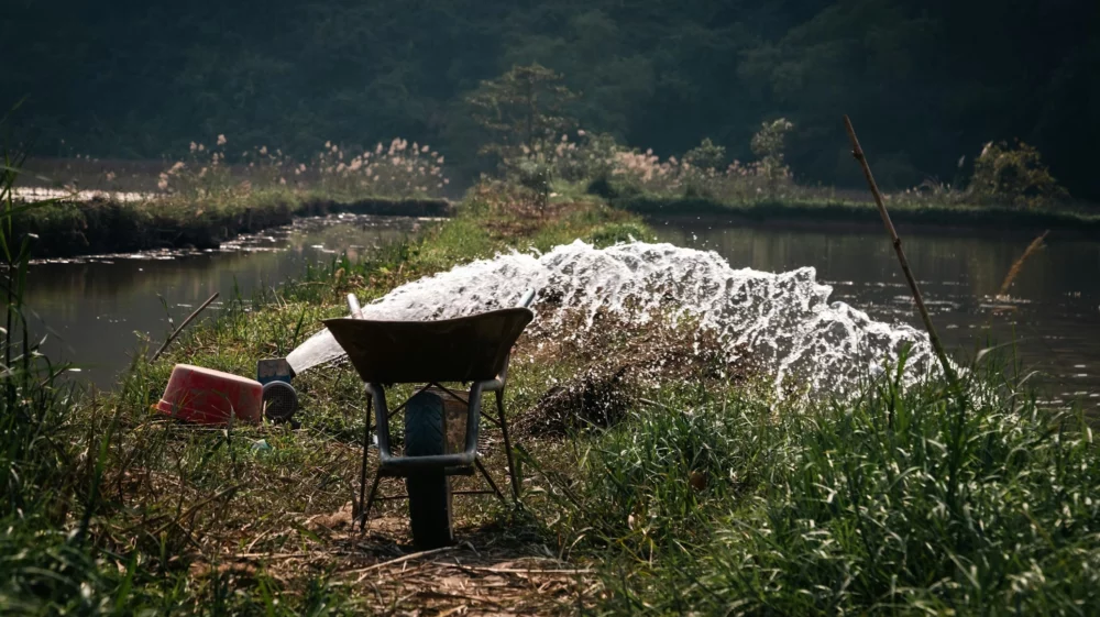 irrigation