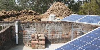 Cow-dung cakes