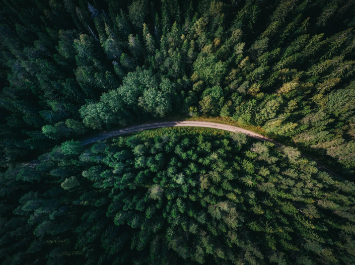 Nordic road