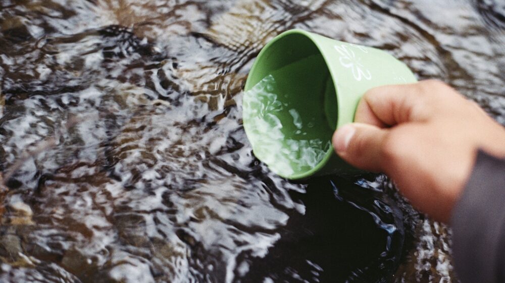 Drinking from a stream