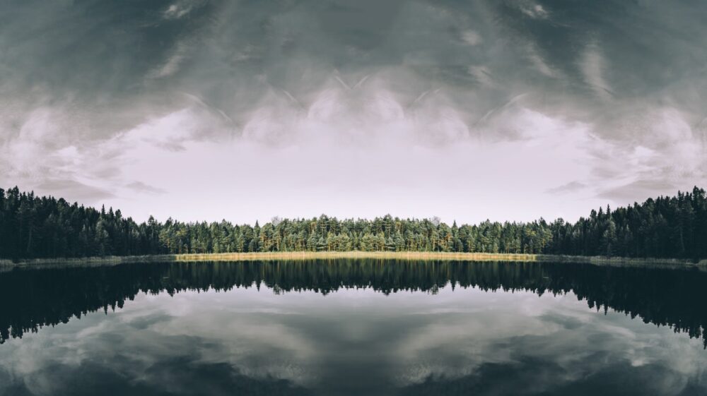 Estonian nature, lake and forest