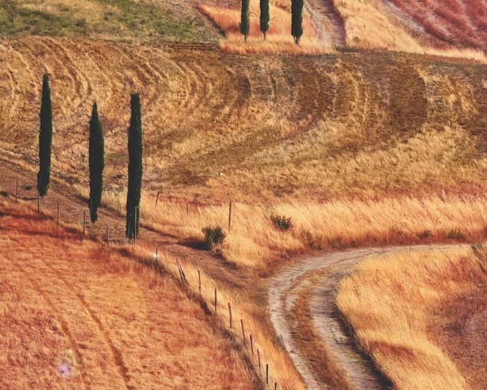 Italian agricultural landscape with fields and a small road