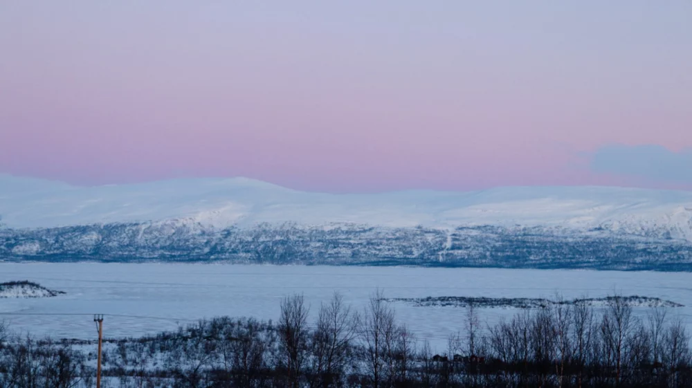 snowy landscape