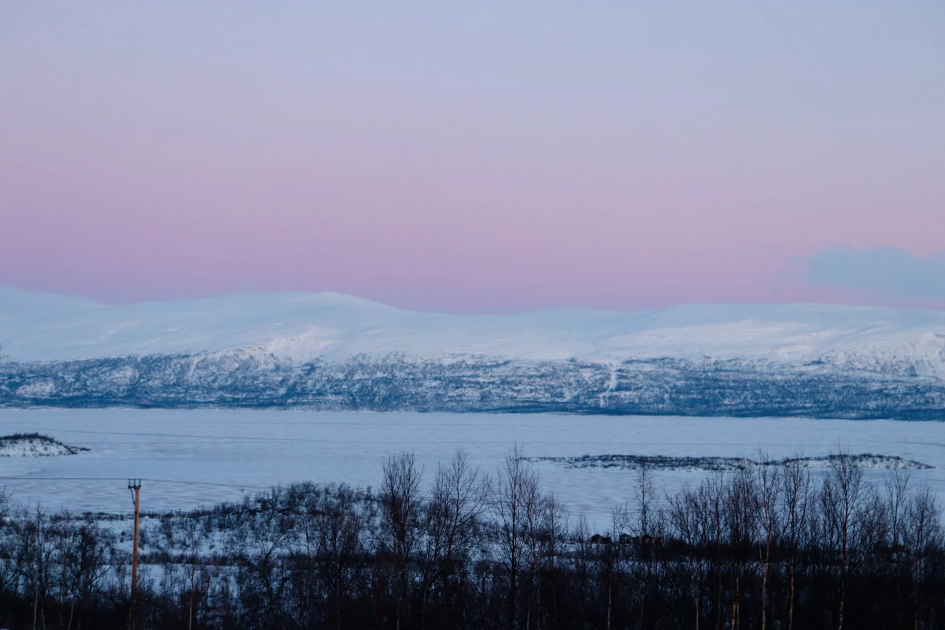 snowy landscape