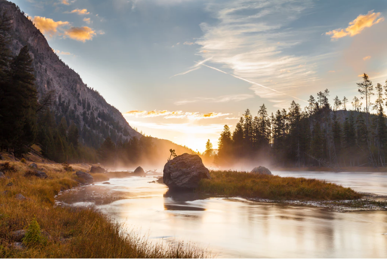 Nordic nature