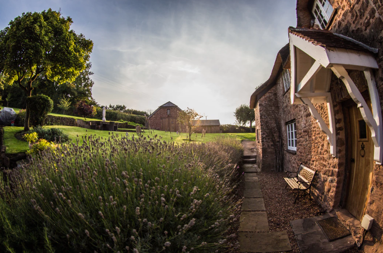 House in nature