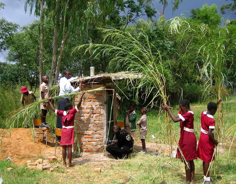 students building with natural materials