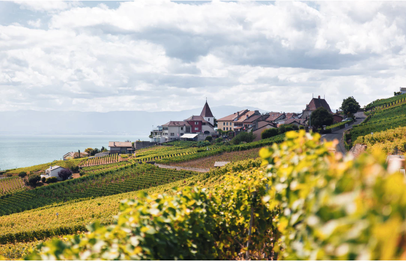 Europe scenery