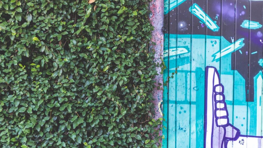 Green wall