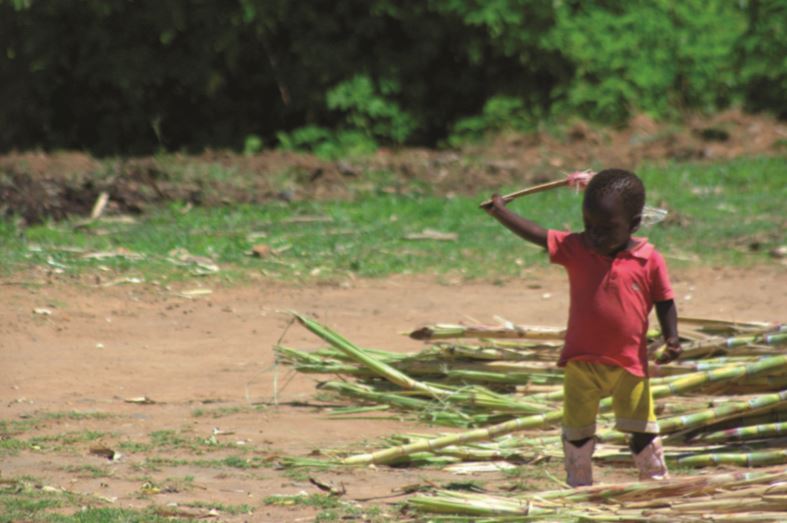 Child playing with sugarcane, Tanzania
