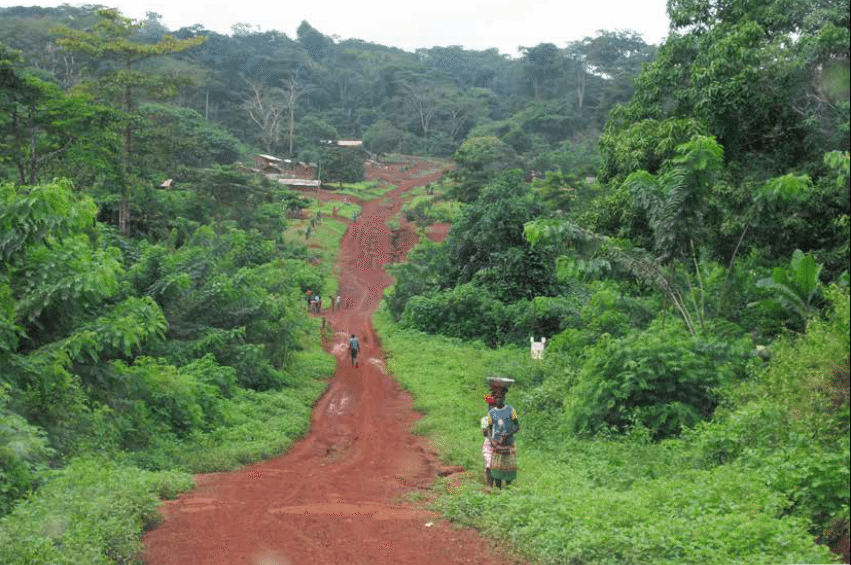 Road from Yokadouma, Tri‑National de la Sangha landscape, Cameroon. Photo by Sukaina Bharwani.
