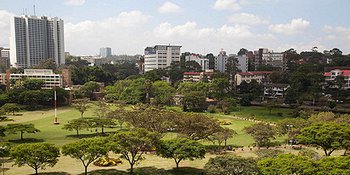 view or city and park