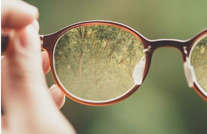 A forest through a pair of glasses