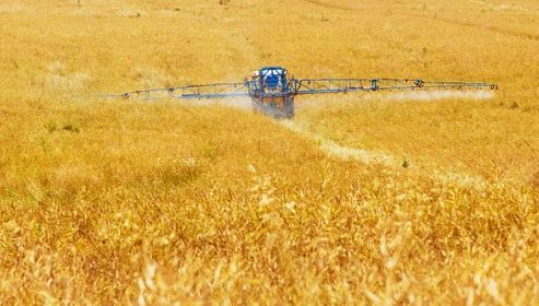 Fertilize crops