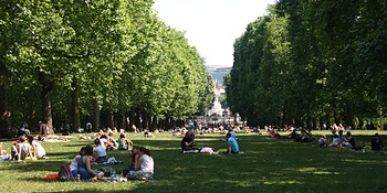 park lined with trees with people having a picnic
